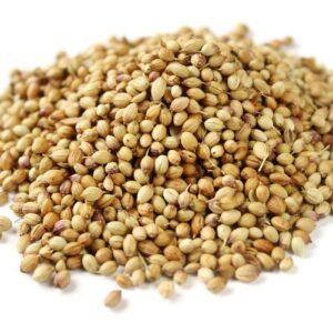Coriander Seeds